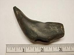 Geniculate - 3 in. - Banded Slate - Hardin/