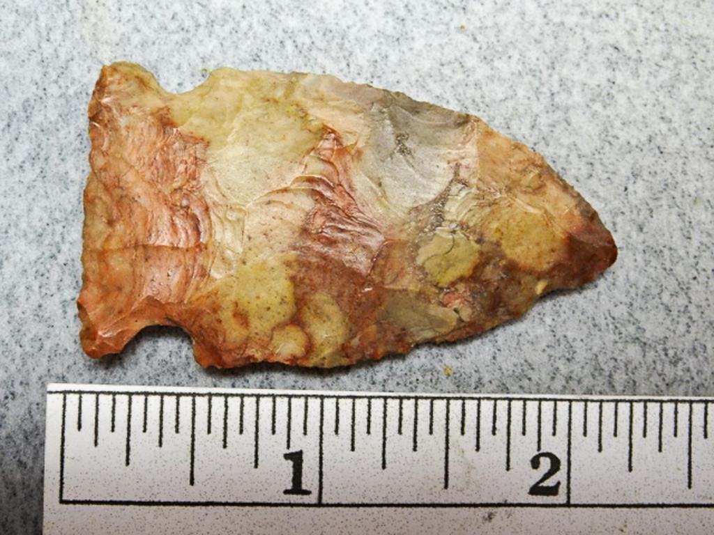 Archaic Side Notch Point - 2 1/4 in. - Flint