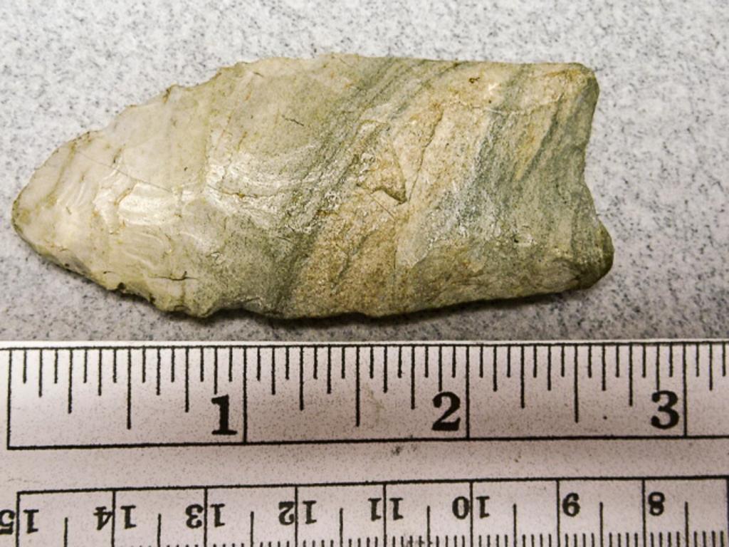 Paleo Fluted Point - 2 3/4 in. - Indiana Green