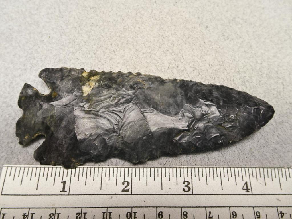 Notched Base Point - 4 1/2 in. - Upper Mercer