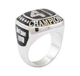 0.15 ctw Diamond Ring - 14KT White Gold with Black Enamel