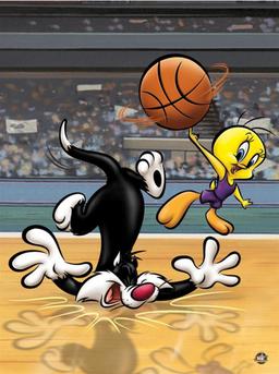 Warner Brothers Hologram Sylvester and Tweety Basketball