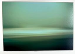 Florian Muller Transitus #3 Green Landscape Nature Beach