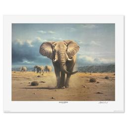 Elephant Territory by MacIntosh, Rob