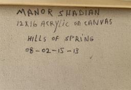 Hills Of Spring by Manor Shadian