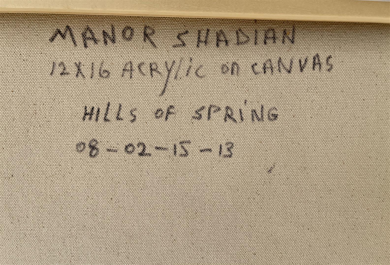 Hills Of Spring by Manor Shadian