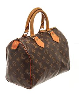 Louis Vuitton Brown Monogram Speedy 25 Handbag