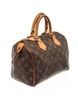 Louis Vuitton Brown Monogram Speedy 25 Handbag