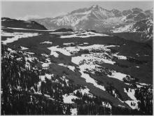 Adams - Rocky Mountain National Park Colorado 11