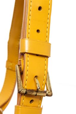 Louis Vuitton Yellow Epi Leather Noe PM Bag