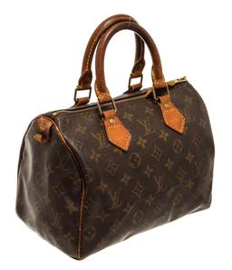 Louis Vuitton Speedy 25 Handbag