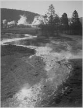 Adams - Central Geyser Basin, Yellowstone National Park, Wyoming