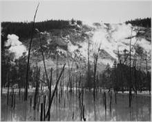 Adams - Roaring Mountain, Yellowstone National Park