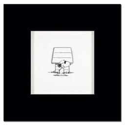 Joe's Cool by Peanuts,