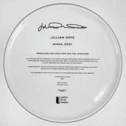 Birds by Opie, Julian
