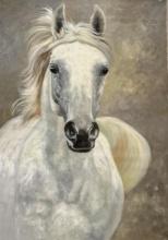 The Awesome Mare by Inam