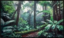 Rainforest Realm by William Mason