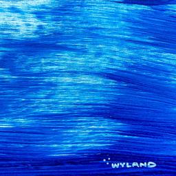 Whale Tail by Wyland Original