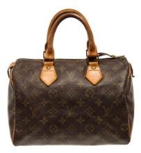 Louis Vuitton Speedy 25 cm Handbag
