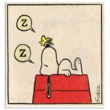 Zz by Peanuts