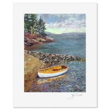 Coastal Shoal by Powell John