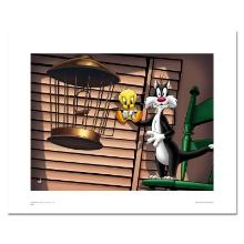 Spotlight Sylvester and Tweety by Looney Tunes