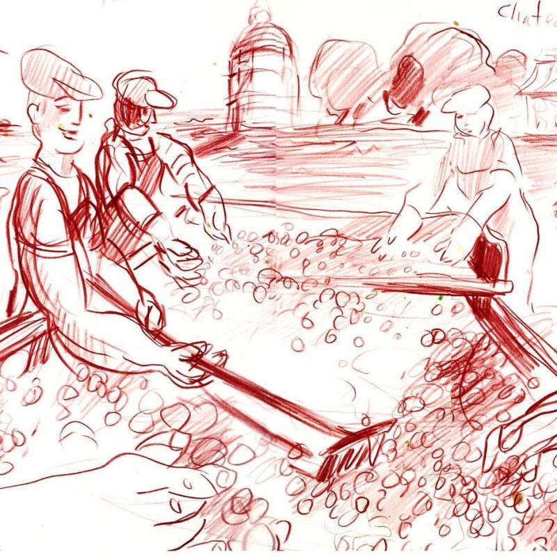 Harvest at Chateau Latour (Bordeaux) by Ensrud Original