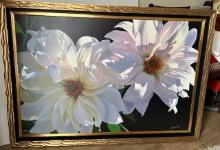 Delightful Dahlias by Brian Davis