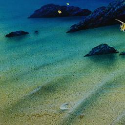 Island Paradise by Wyland