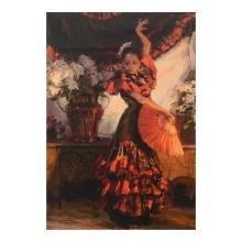 Viva Flamenco by Gerhartz Dan