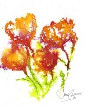 Jane SEYMOUR: Dancing Poppies VII.