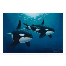 Orca Calling by Wyland