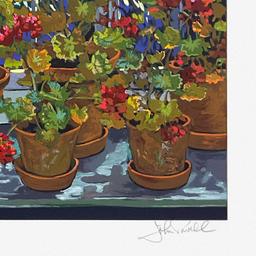 Geraniums by Powell John