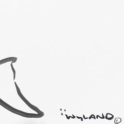 Dolphin by Wyland Original