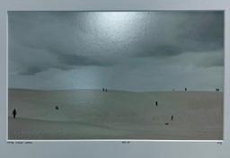 Steffen Schulte Lippern Ants #1 Desert Sand