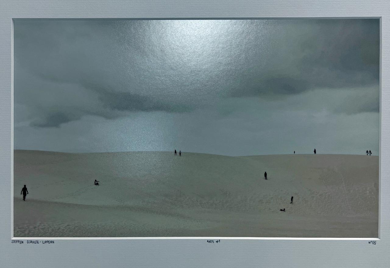 Steffen Schulte Lippern Ants #1 Desert Sand