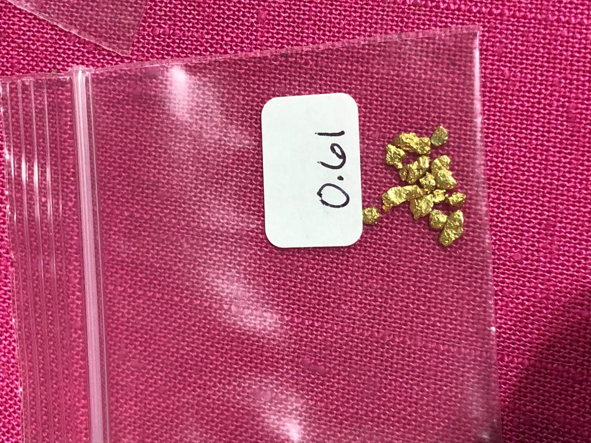 0.61 Grams of Real  Alaskan Gold