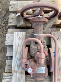 Cameron Valve