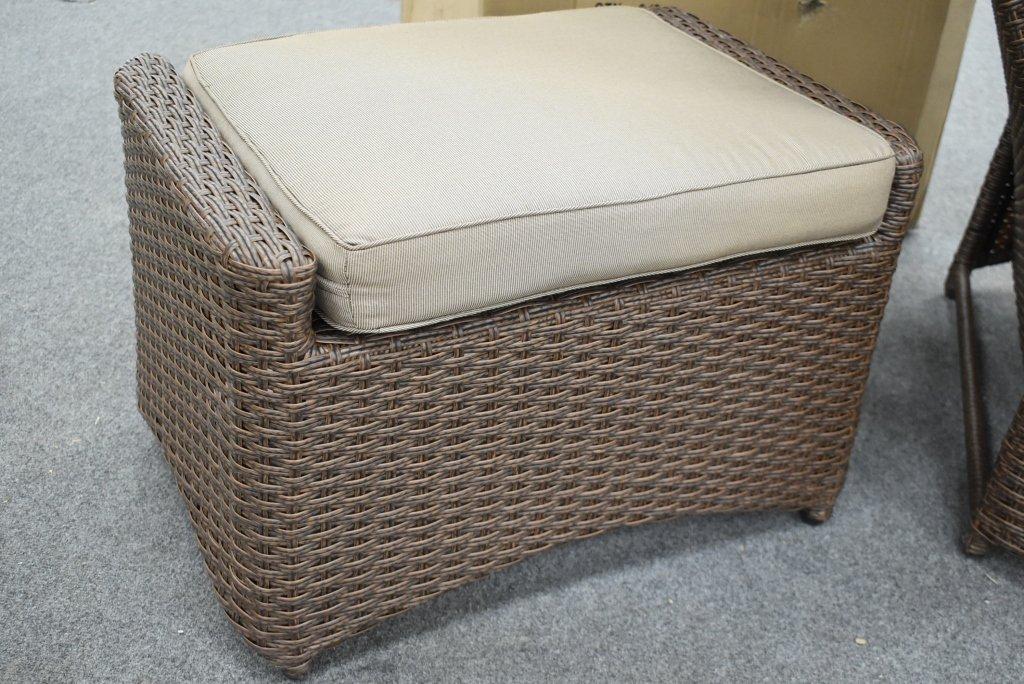 NEW Renava Outdoor Woven Chair And Ottoman