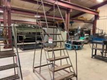 EGA 8-step rolling ladder.