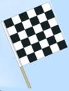 Checkered Flag Auctions