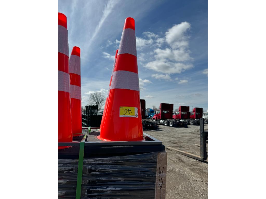 50 Traffic Cones