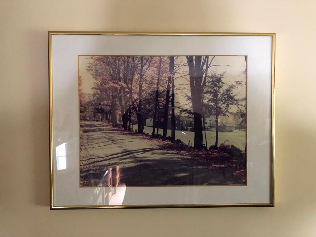 FRAMED ROAD/HOUSE & SNOW MOUNTAIN VIEW PRINTS
