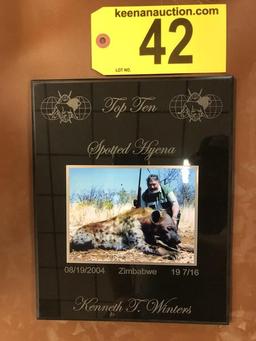 SPOTTED HYENA MOUNT