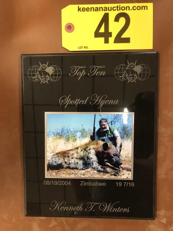 SPOTTED HYENA MOUNT