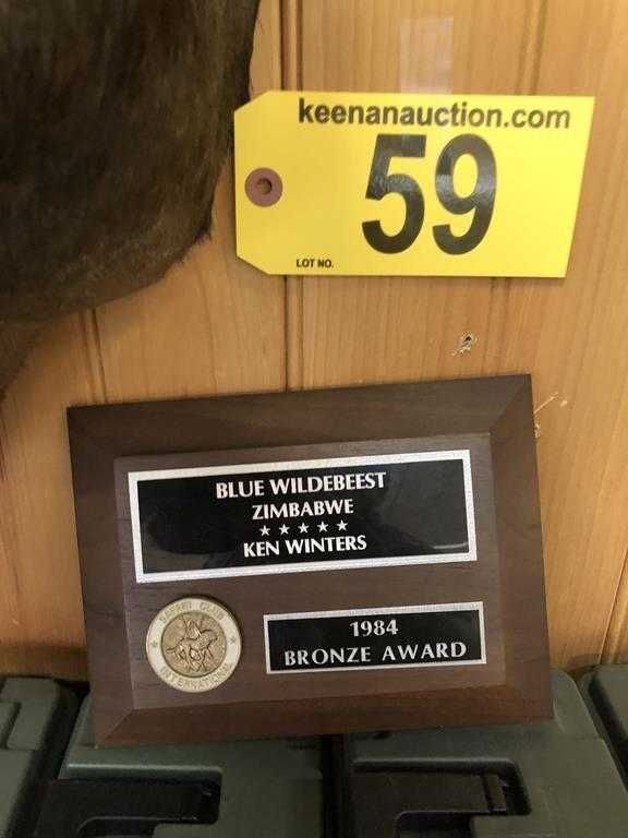 BLUE WILDEBEEST MOUNT