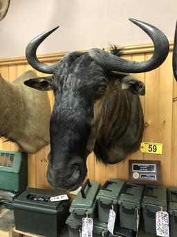 BLUE WILDEBEEST MOUNT
