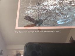 BID PRICE X 2 - (2) CHRISTINE FANCHER FRAMED POSTERS, 22" X 28"
