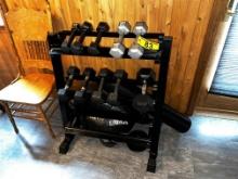 LOT: WEIGHT RACK & 10-ASSORTED WEIGHTS, MEDICINE BALL, FOAM ROLLER