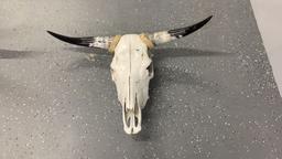 Cattle Skull